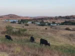 Wichita Mountains