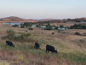 Wichita Mountains