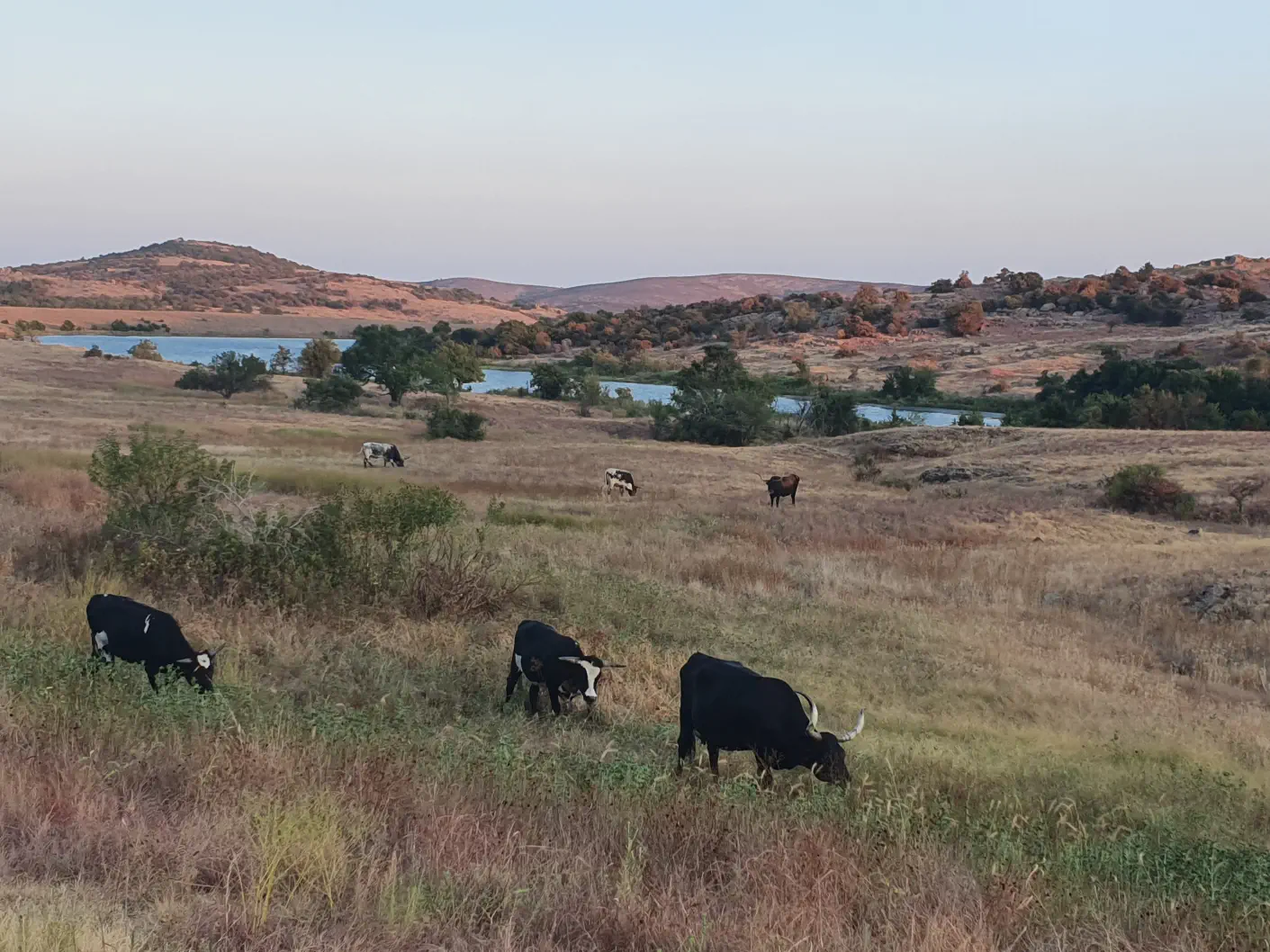 Wichita Mountains