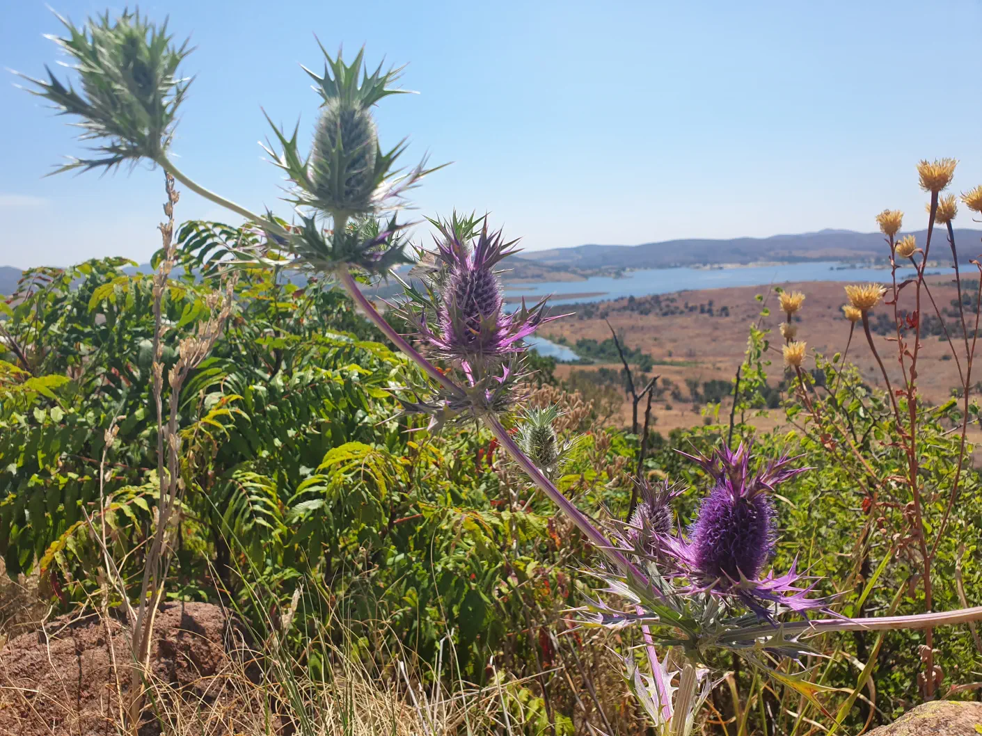 Wichita Mountains