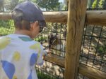 Tierpark Rosegg