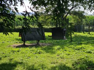 Tierpark Rosegg