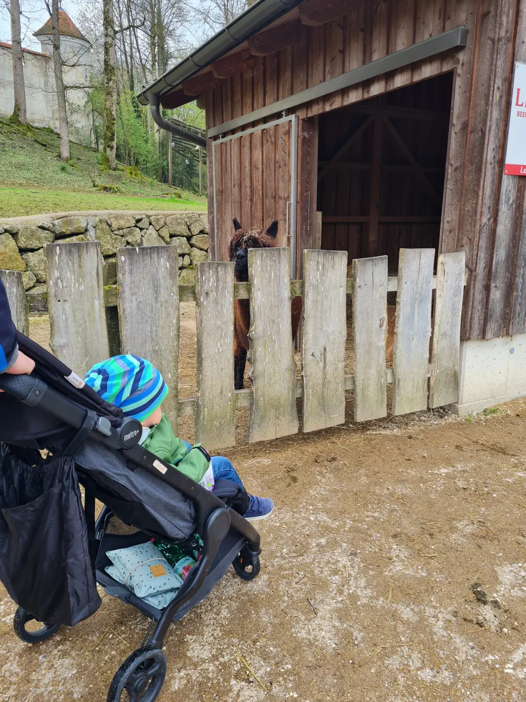 Mit dem Kinderwagen gehts in den Tierpark Stadt Haag