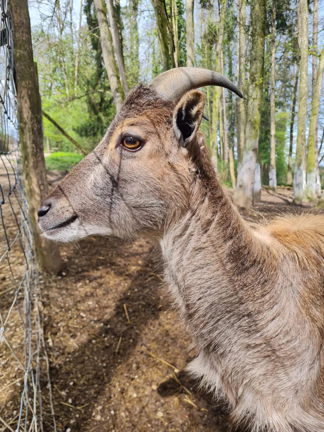 Hier haben wir unser Futtersackerl gut angebracht