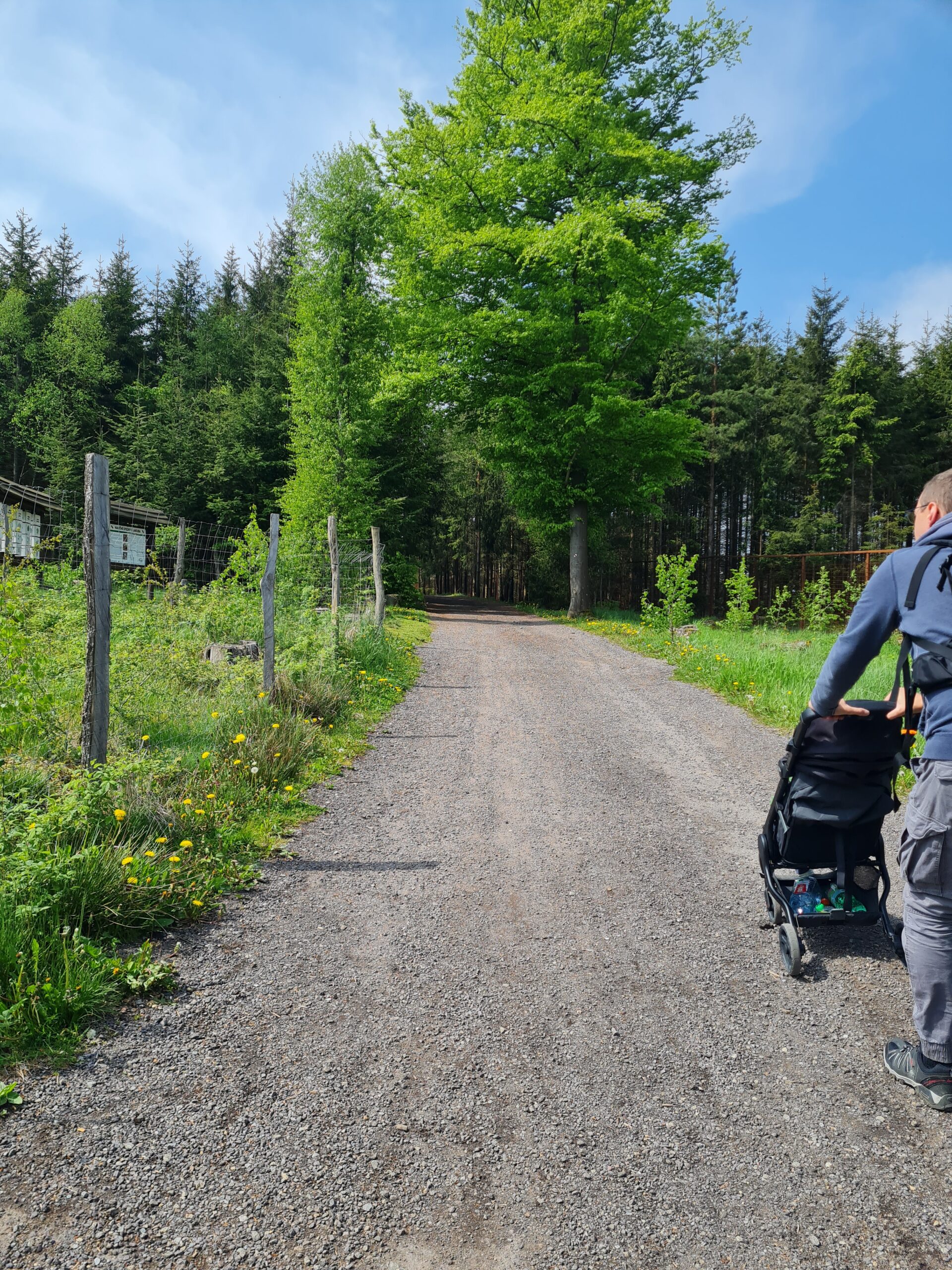 Südböhmen Wanderung Kleinkind