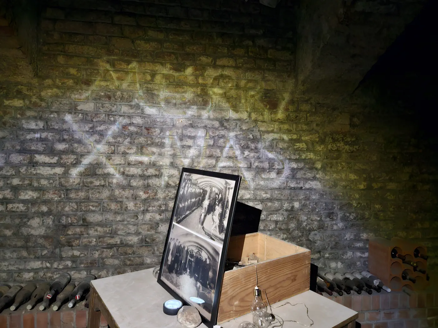 Wien Ausflugsziele Kind