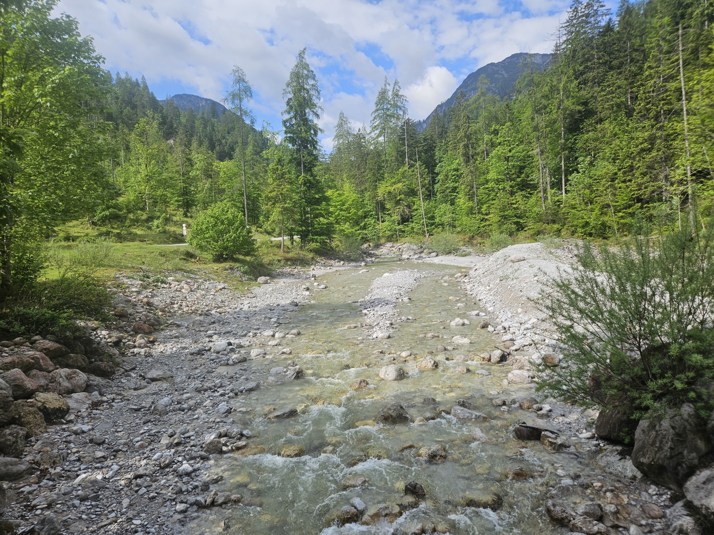 Vorderkaserklamm Kind