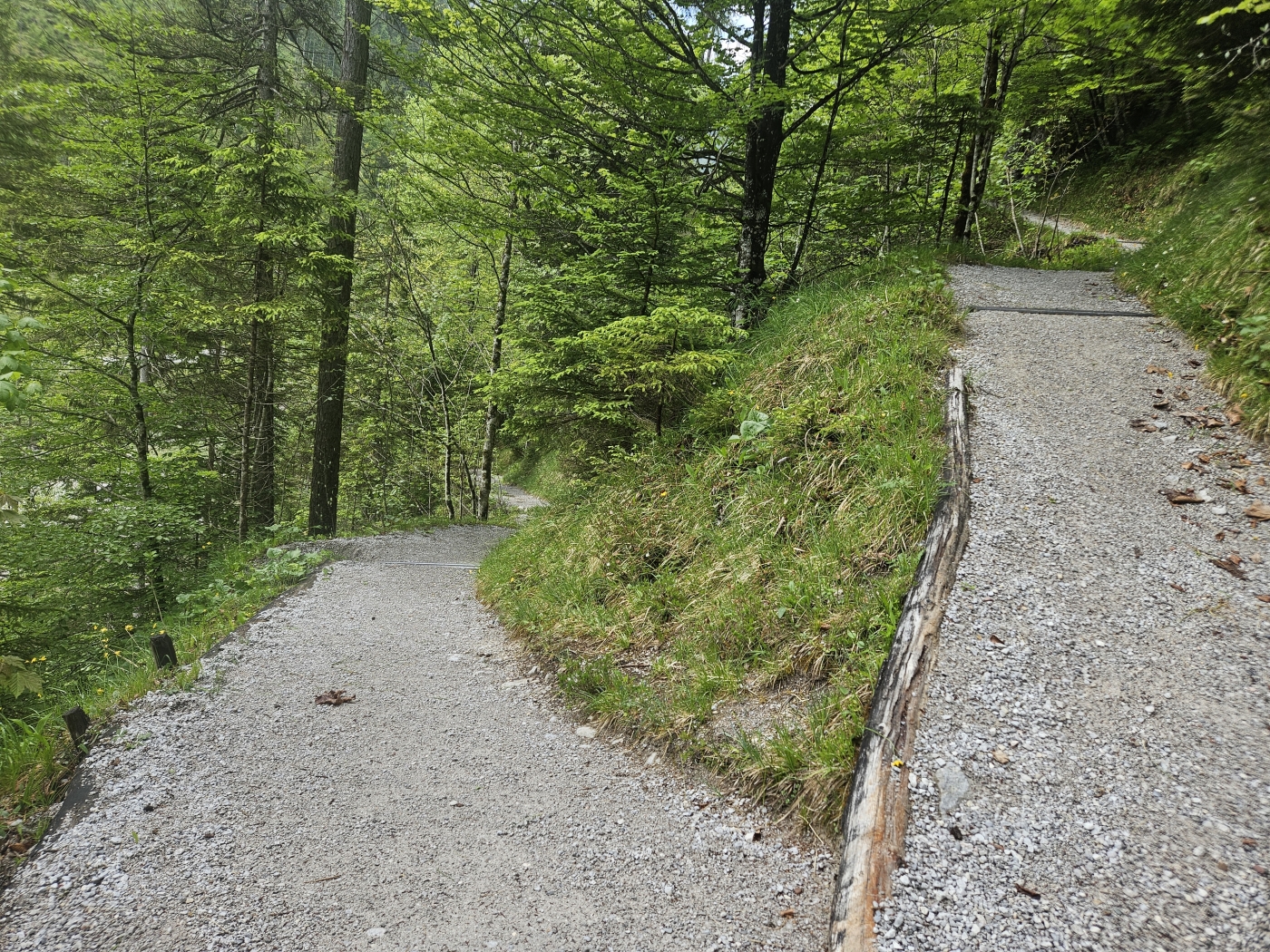 Vorderkaserklamm mit Kind