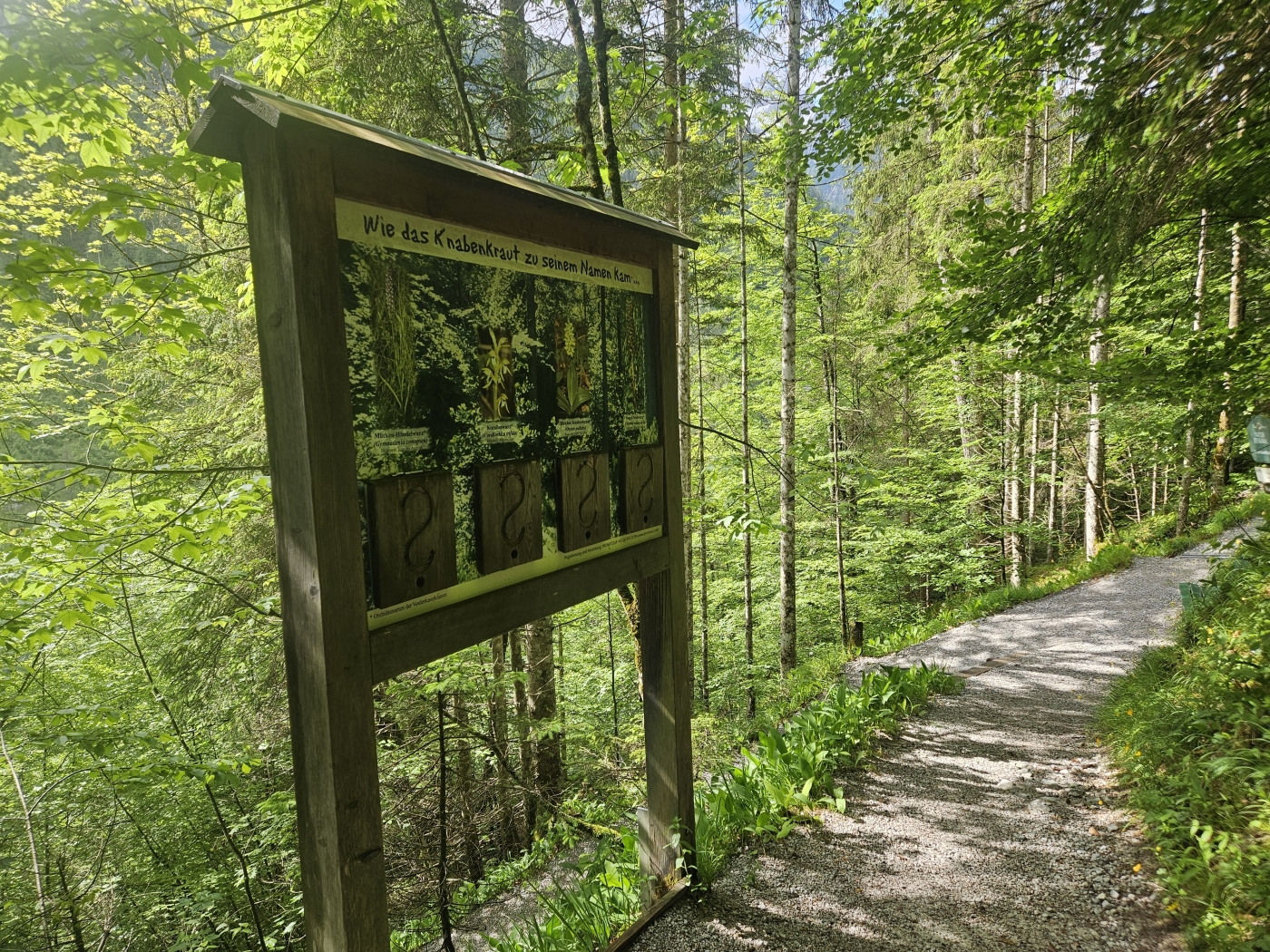 Vorderkaserklamm mit Kind