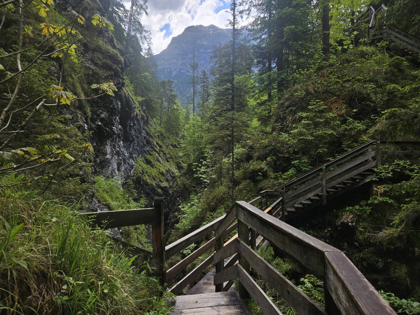 Vorderkaserklamm kind