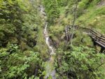 Vorderkaserklamm kind