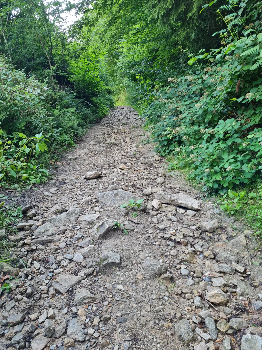 Schlögener Donaublick Kleinkind