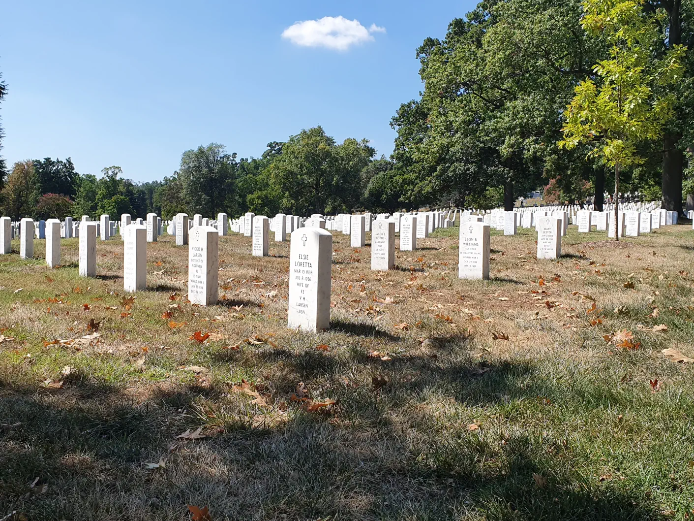 Washington D.C. Sehenswürdigkeiten