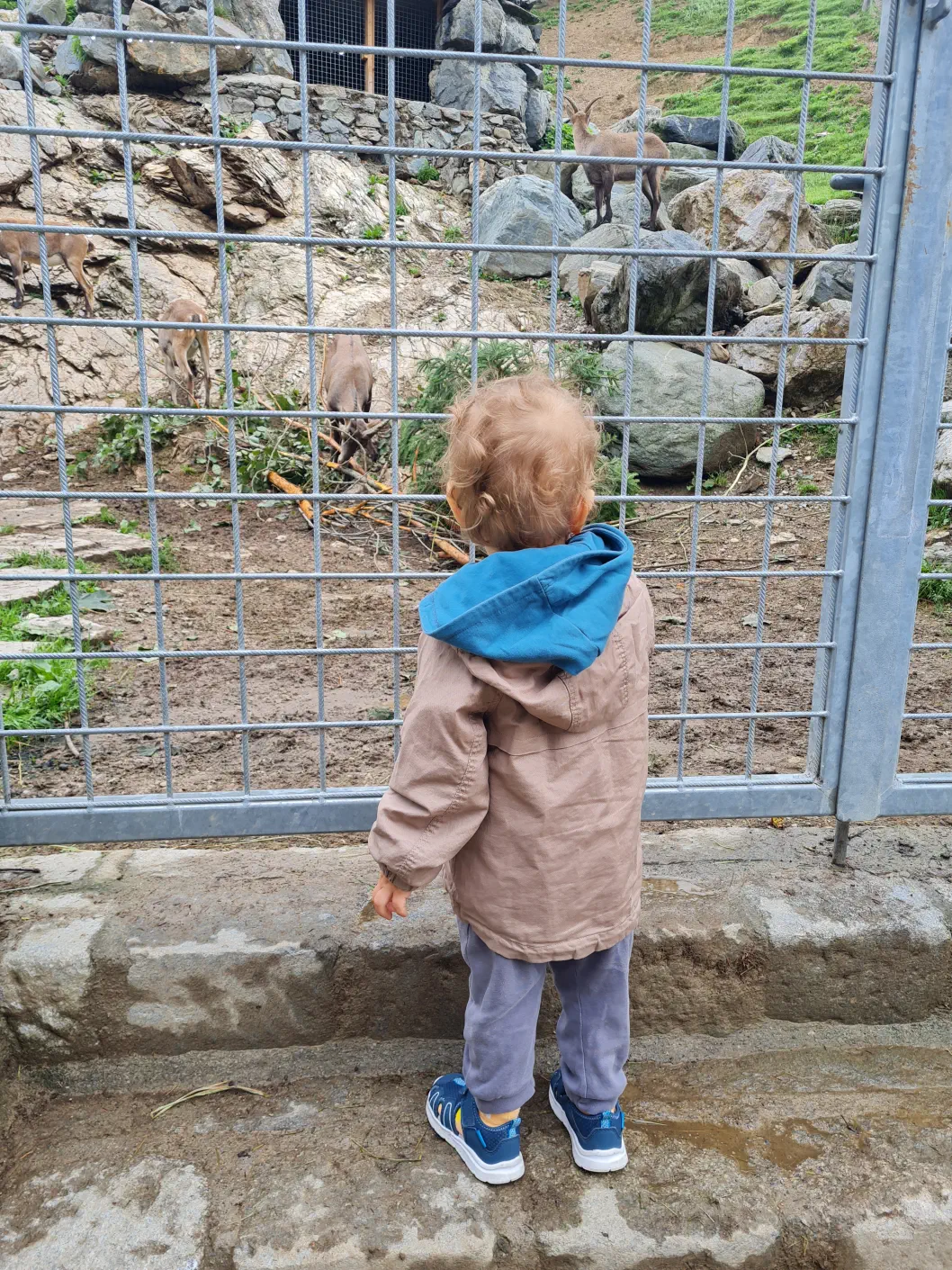 Wildpark Aurach Kinderwagen