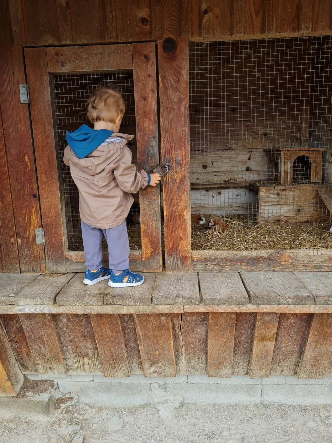 Wildpark Aurach Kinderwagen