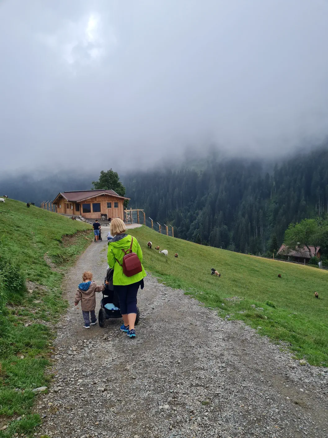 Wildpark Aurach Kinderwagen