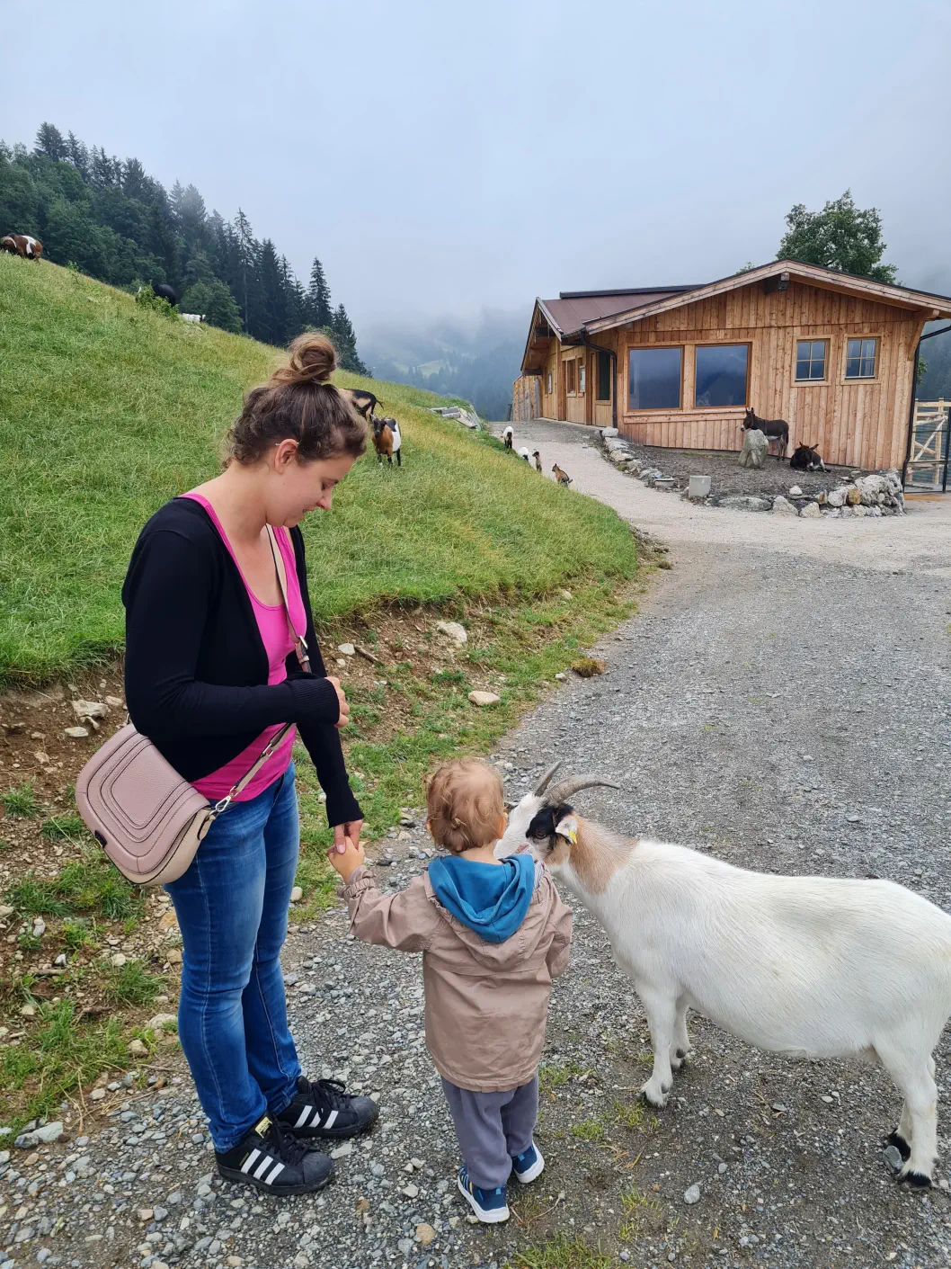 Wildpark Aurach Kinderwagen