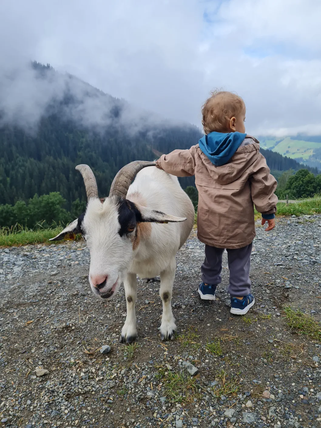 Wildpark Aurach Kinderwagen