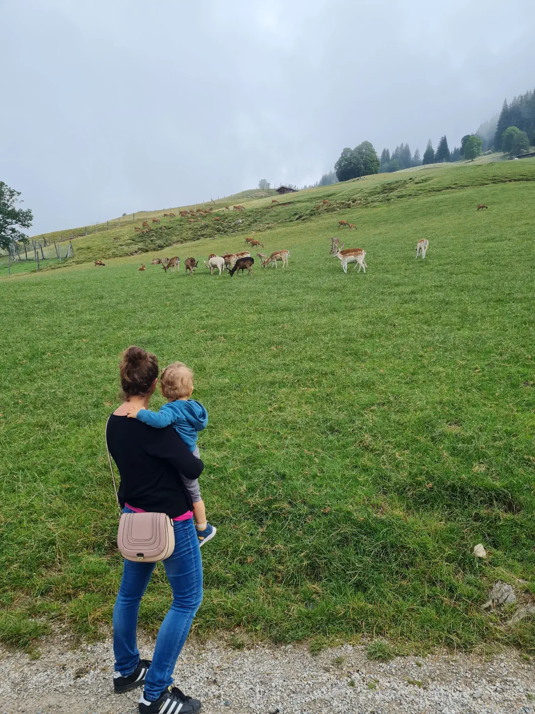 Wildpark Aurach Kinderwagen