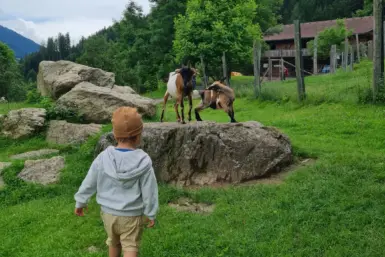 Wildpark Kärnten