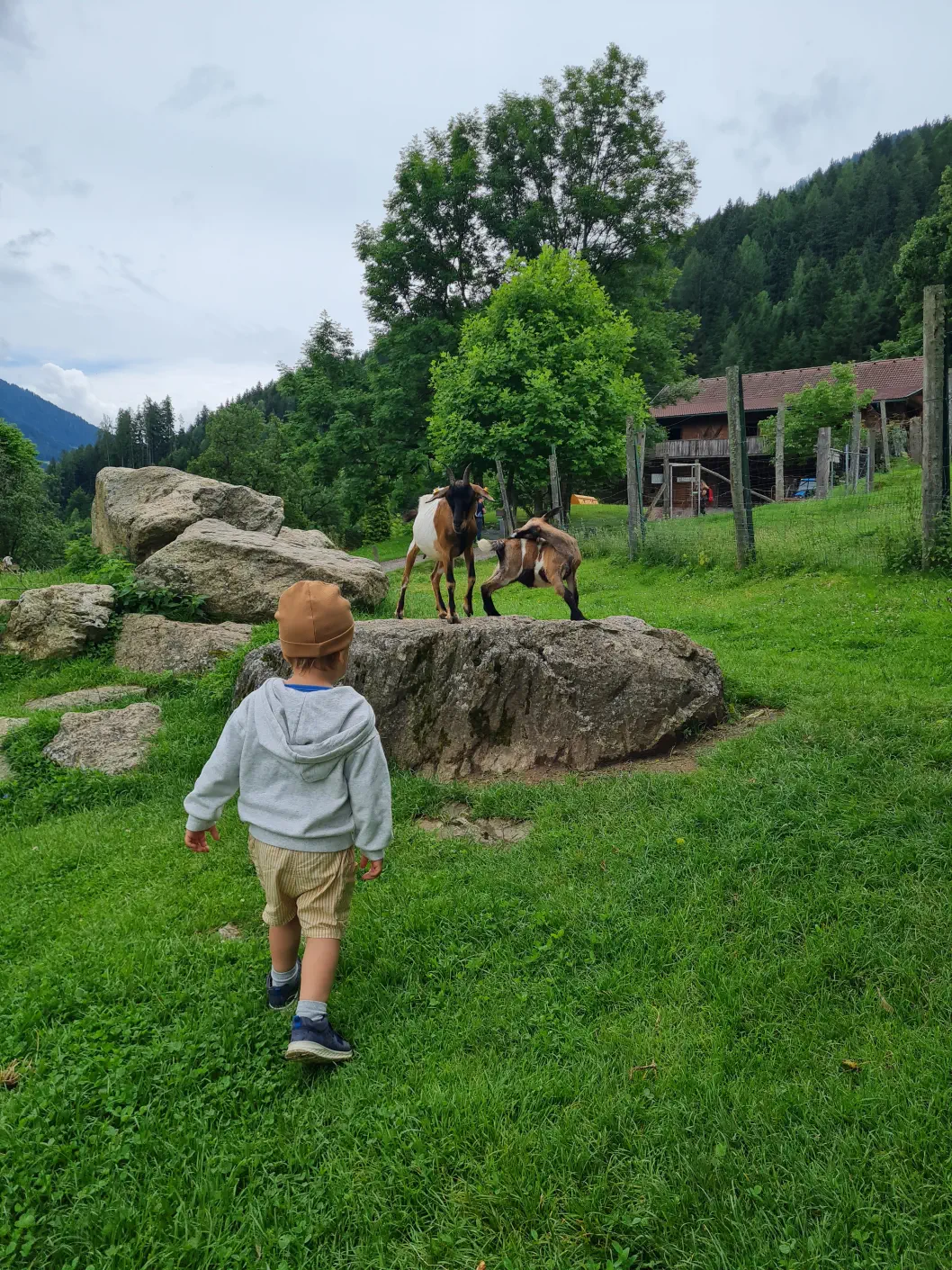 Wildpark Kärnten
