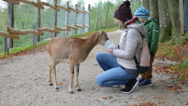 Wildpark Mostviertel