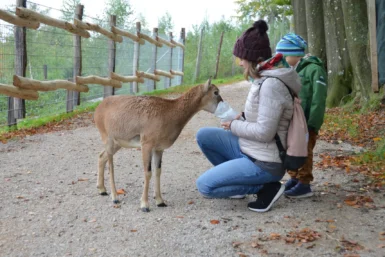 Wildpark Mostviertel