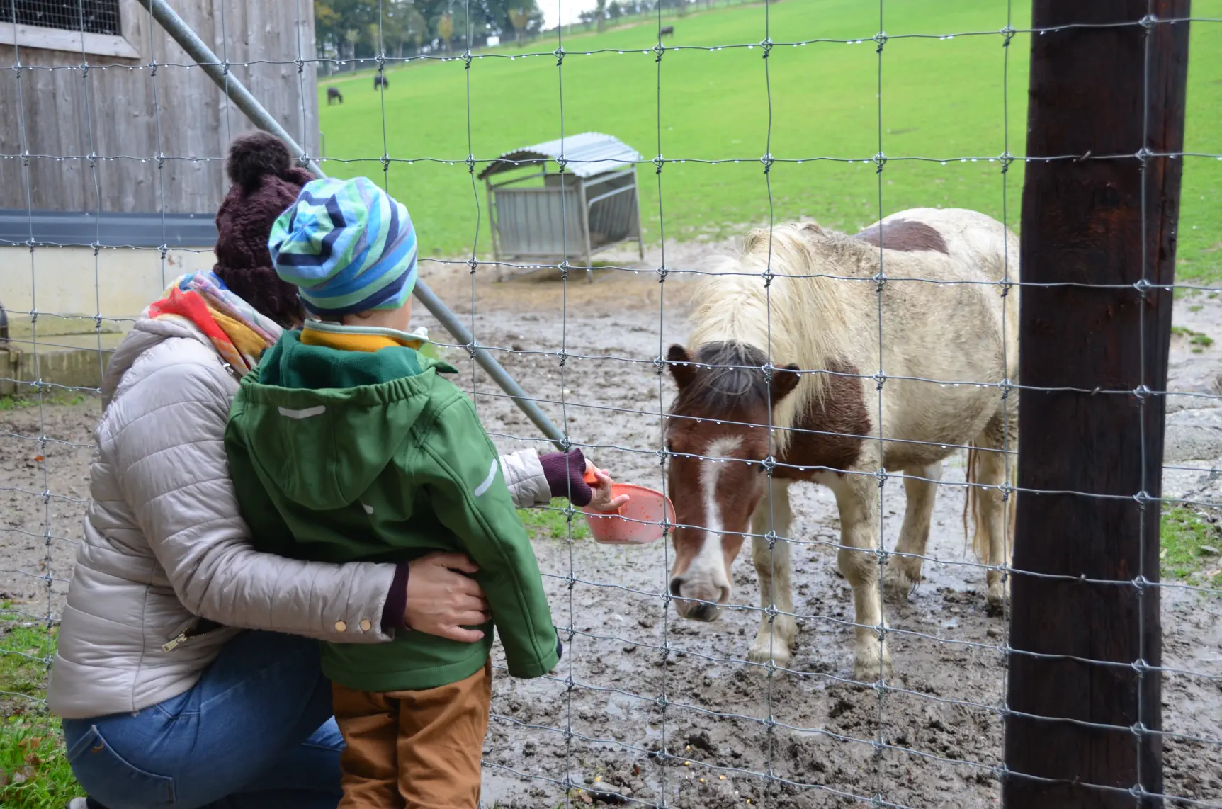 Wildpark Mostviertel