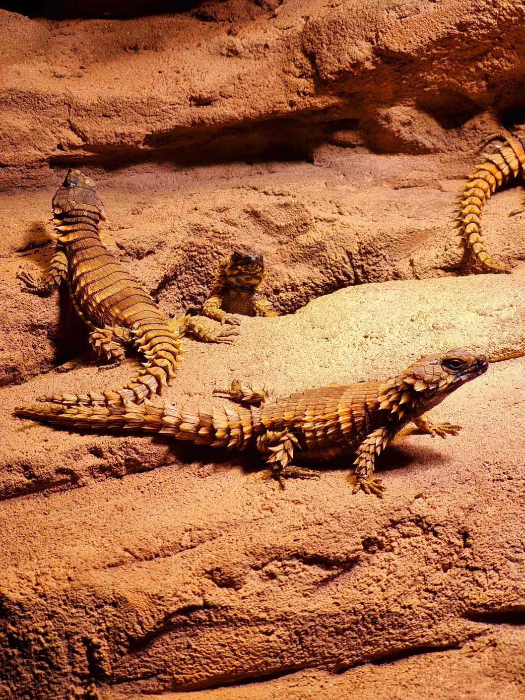 Wüstenhaus mit Kinderwagen