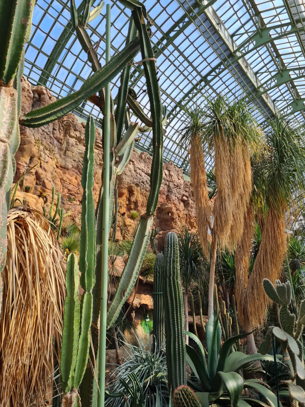 Wüstenhaus mit Kinderwagen