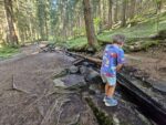 Wasserspielplatz im Wurzelpark Arriach