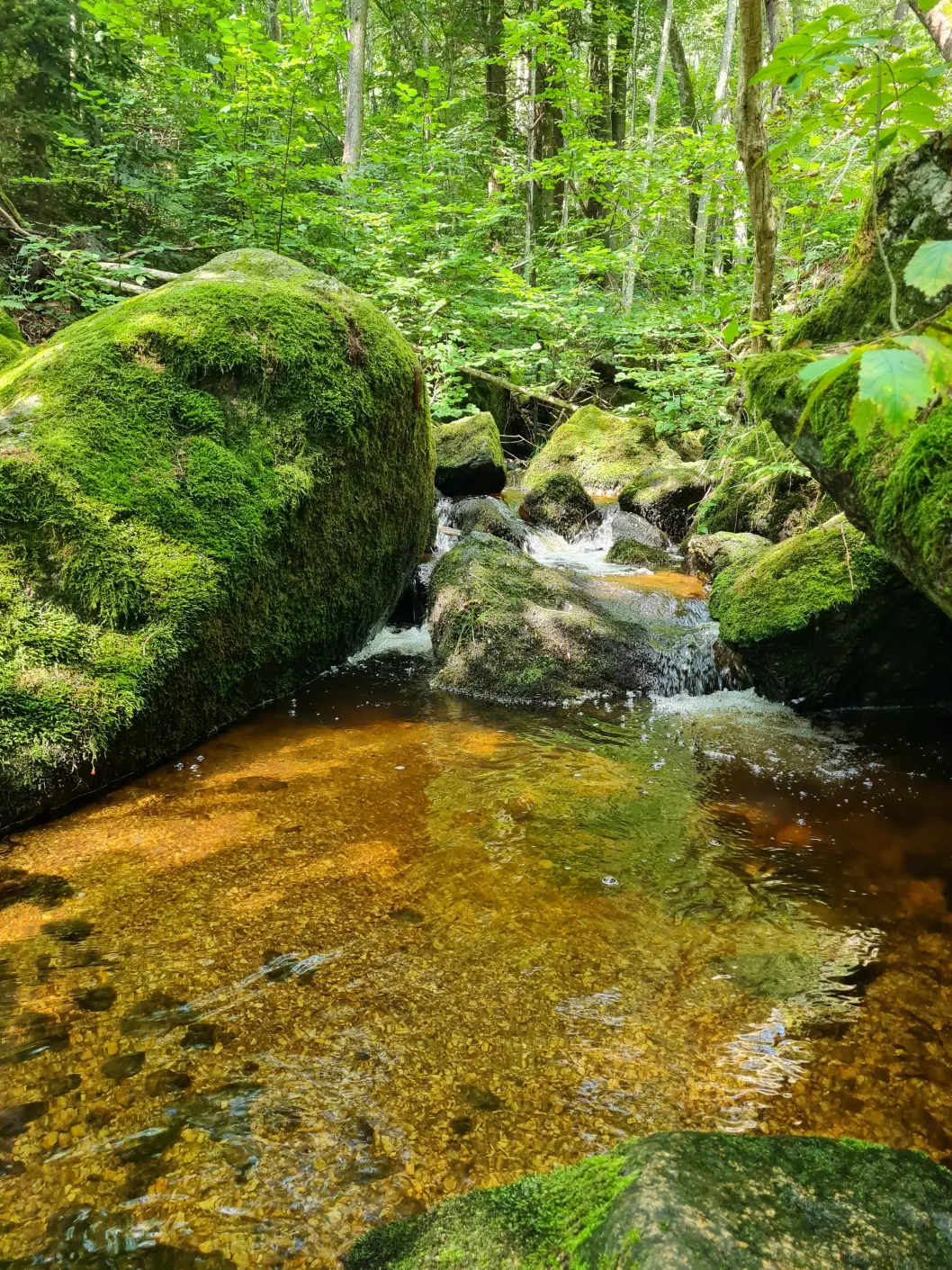 Klamm Niederösterreich