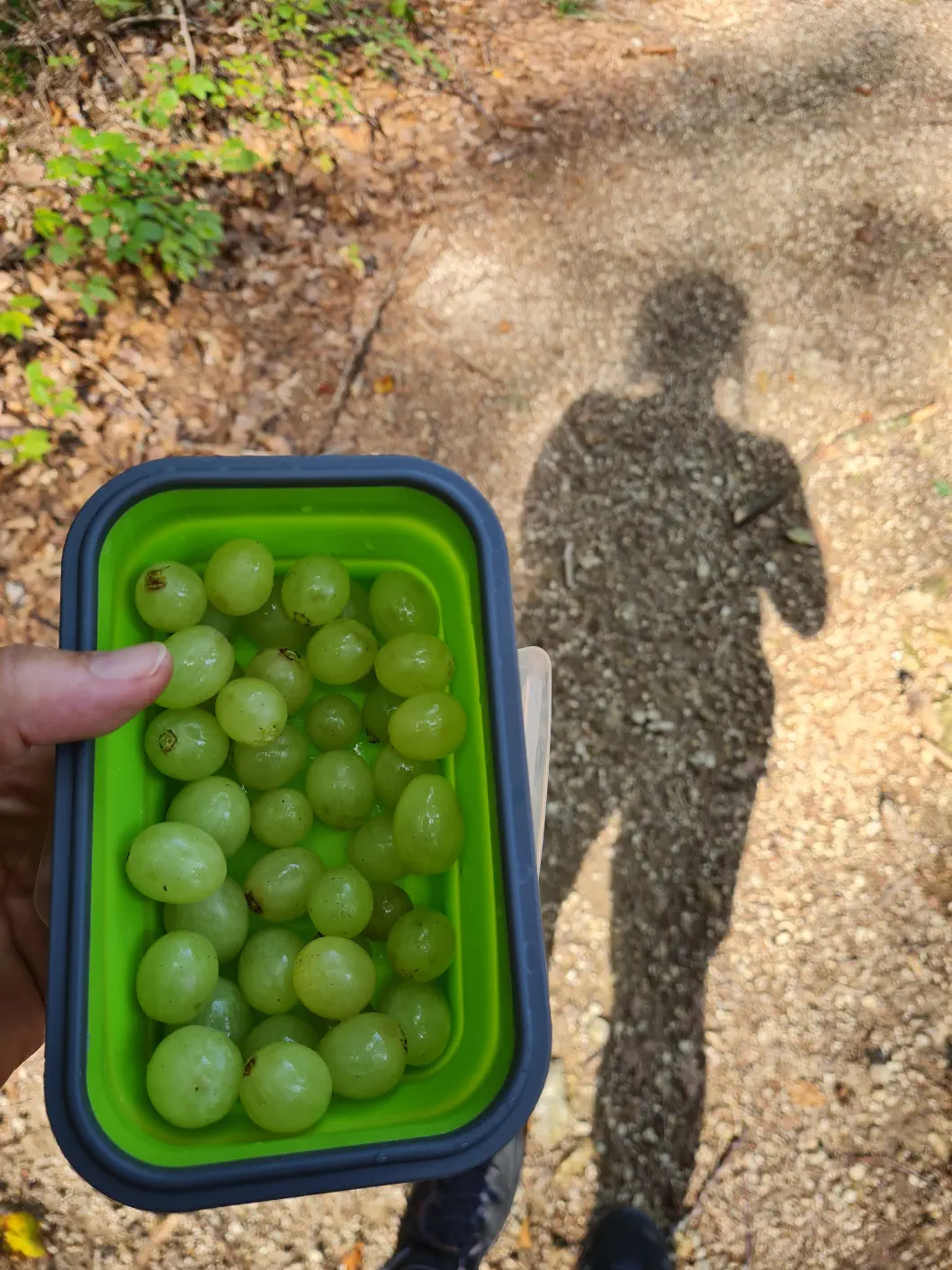 Klamm Niederösterreich